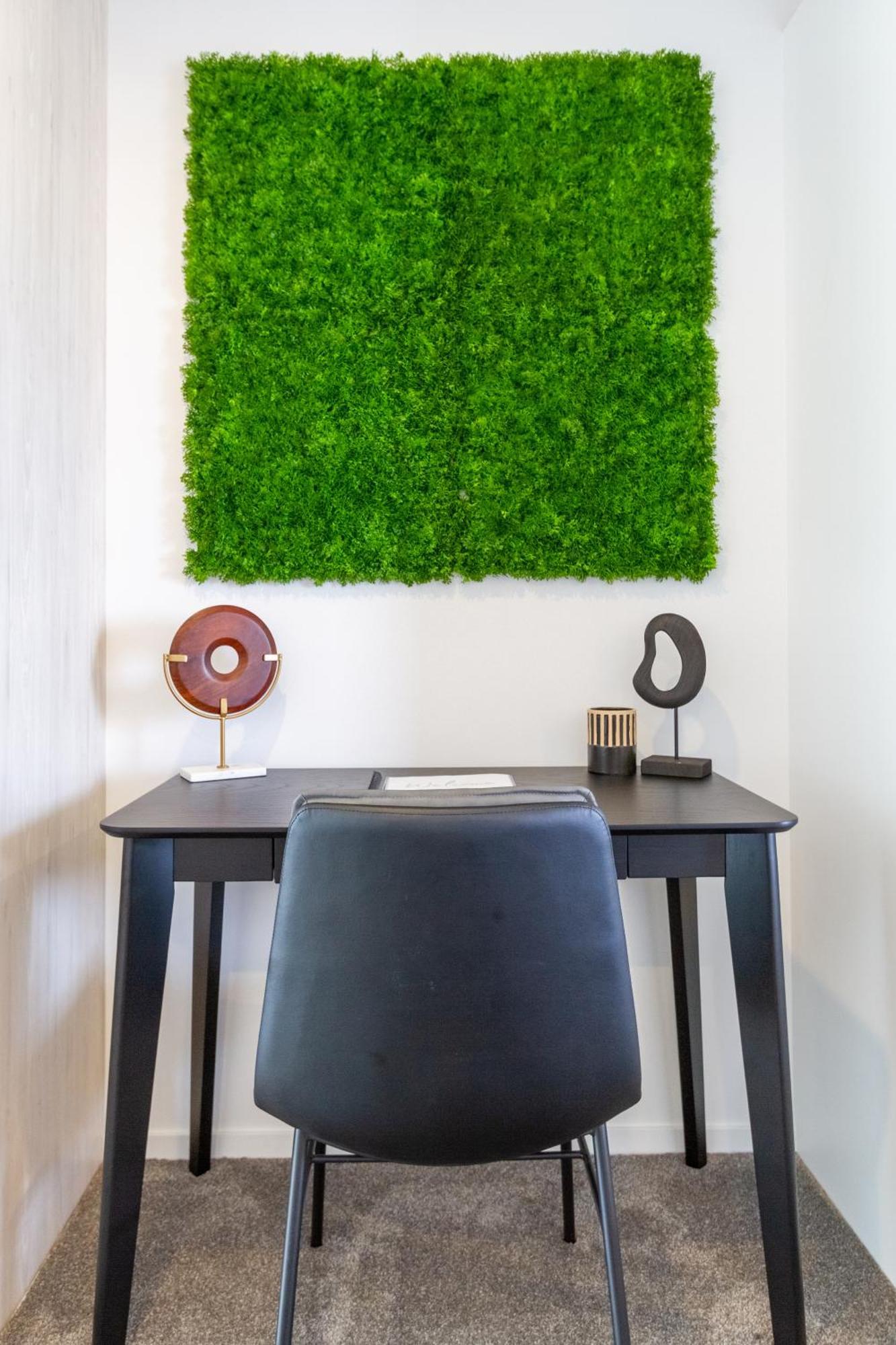 Prime Locale: Studio With Balcony Крайстчърч Екстериор снимка